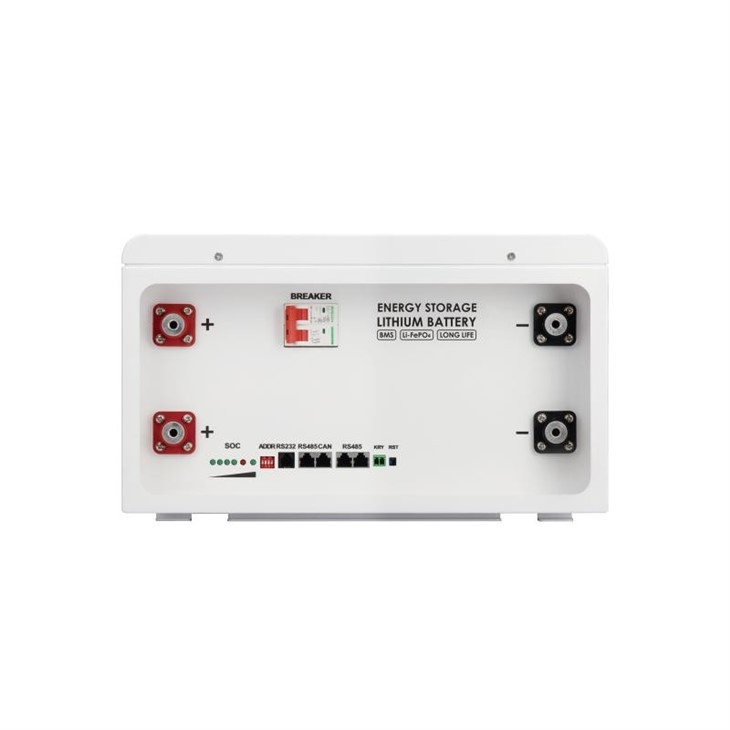 51.2V 100Ah Lithium Battery Pack